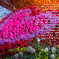 My-Heart-Of-Roses-signed-Sacred-Prosperity-Prayer16p